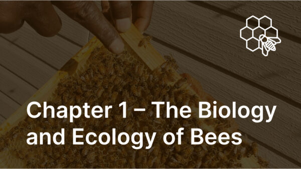 Chapter 1- The Biology and Ecology of Bees