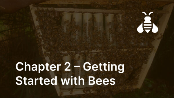 Chapter 2 – Getting Started with Bees