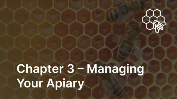 Chapter 3 – Managing Your Apiary