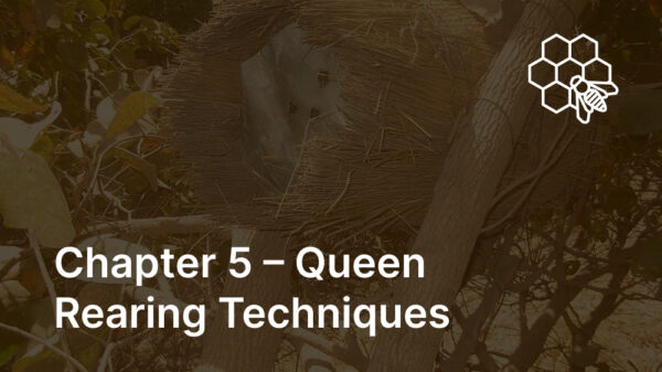 Chapter 5 – Queen Rearing Techniques